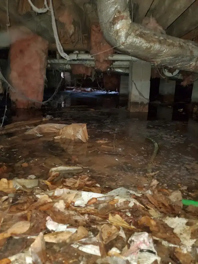 Crawl space flood assessment for Leak Detection & Repair in Cerritos